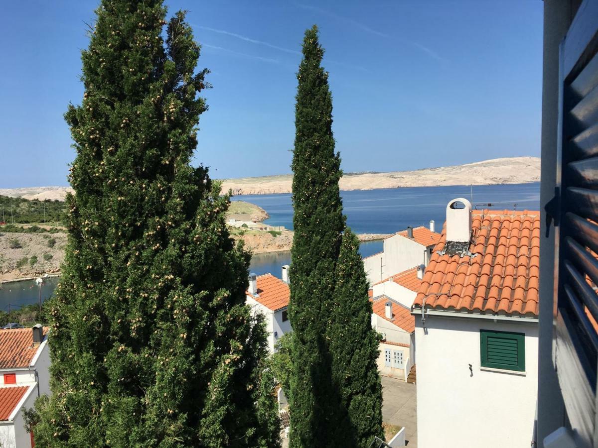 Wil Vannese Stinica Exterior photo